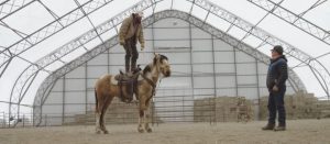 500 Miles – The Story of Ranchers and Horses