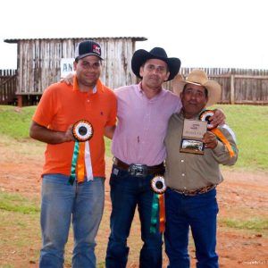 Avaré sediou Potro do Futuro de Working Cow Horse da ANCH