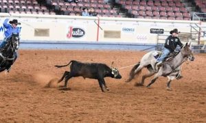 O AQHA World Show acabou, mas as boas notícias para o Brasil não