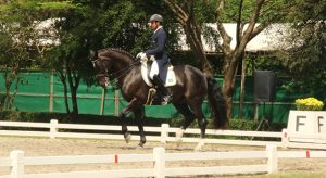 Campeonato Brasileiro de Adestramento agitou a Sociedade Hípica Paulista