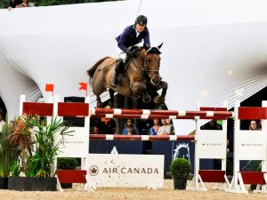 Conheça os campeões do Grande Prêmio do Festival Nacional do BH