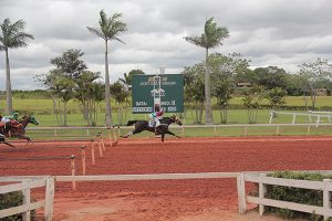 Novo recorde para os 365 metros na final do GP Campeão dos Campeões