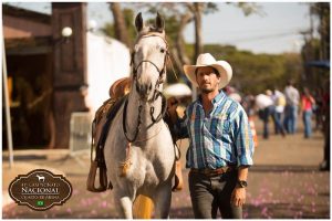 Lucas Hisbek vem escrevendo seu nome na história do Team Penning