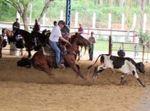 1° Mombuca Horse Show teve provas e música, resgatando tradição