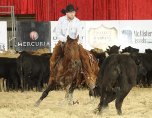 Disputa de titãs na final do Campeonato Mundial de Apartação