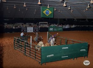 Neona Cat é a atual líder do ranking ABQM de fêmeas no Team Penning