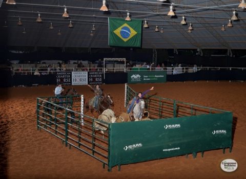 Neona Cat é a atual líder do ranking ABQM de fêmeas no Team Penning