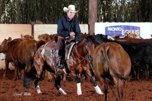 Primeiro animal de criação nacional na Apartação a ser exportado