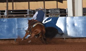 Campeões de Cow Horse coroados no Stock Horse World Show
