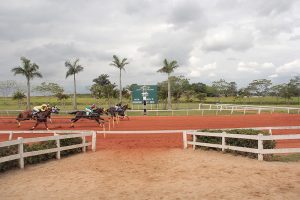 Sassy Eaglette foi a mais rápida na preliminar do Campeão dos Campeões