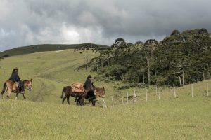 Tropeada nos Aparados da Serra