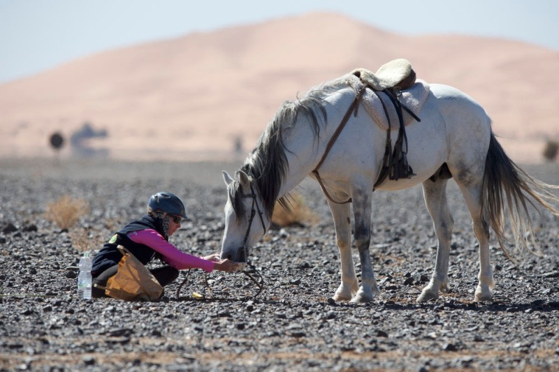 Gallops no Marrocos