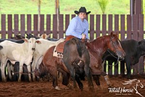 Campeonato Mineiro de Apartação com etapa em Matozinhos