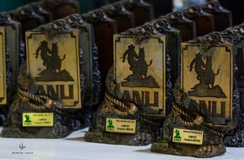 Nível técnico altíssimo em prova de Laço Individual pela ANLI