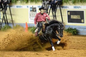 Jason Vanlandigham campeão NRHA Futurity de Rédeas