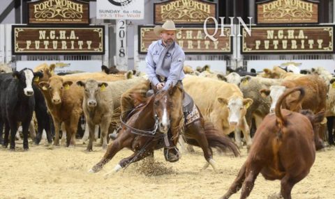 Crey Zee e Tatum Rice vencem o NCHA Futurity Open de Apartação
