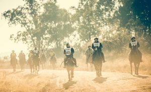 Marcha completará programação da Copa do Mundo do Cavalo Crioulo