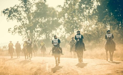 Marcha completará programação da Copa do Mundo do Cavalo Crioulo