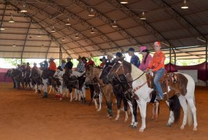 Paint Horse realiza evento e projeta futuro promissor para a raça