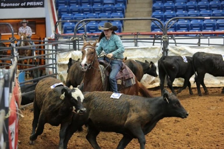 Grande prova de Ranch Sorting e Team Penning no Triângulo Mineiro
