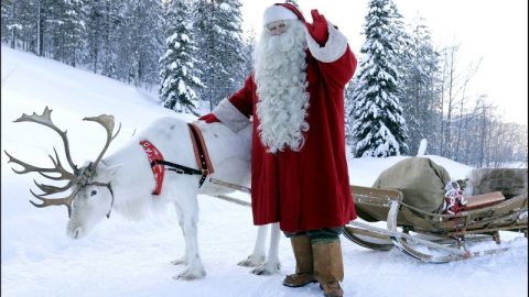 Já ouviu falar das Renas do Papai Noel?