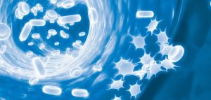 Uso de células-tronco no tratamento da tendinite equina