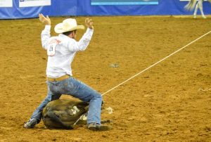 A história do Tie-Down Roping – Laço Individual