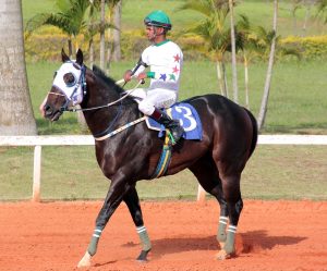 Jockey Club de Sorocaba passará a identificar animais