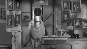 Mister Ed, o cavalo falante