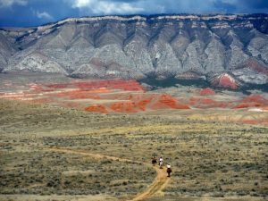 Yoga & Horsemanship & Cavalgada