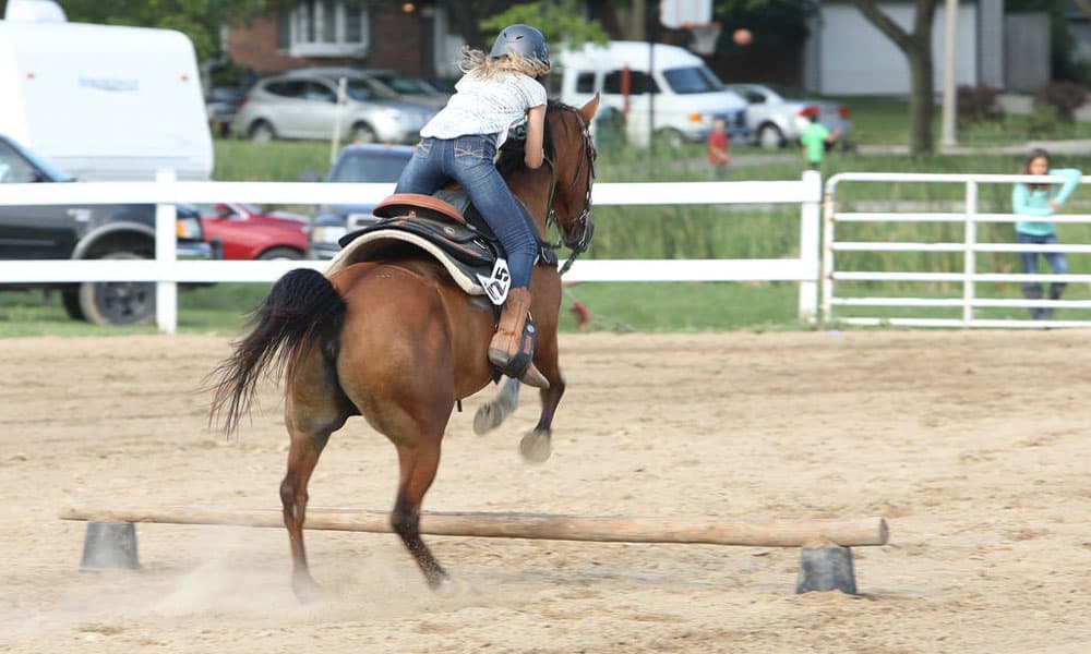 SALTAR SOBRE OBSTÁCULOS COM CAVALO - guia do esporte / hipismo