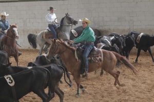 Presidente da Liga Leste de Team Penning avalia temporada 2018