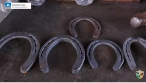 Escolher a ferradura do tamanho certo ajuda na saúde do seu cavalo