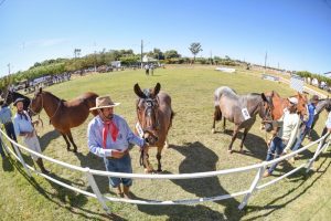 ABCCC projeta crescimento de mercado e qualificação de eventos