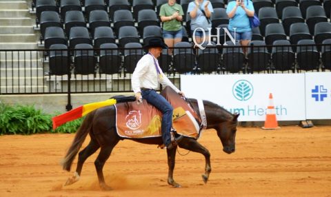 Treinador de Rédeas Bernard Fonck atinge um marco na NRHA