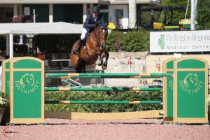 Começou o Winter Equestrian Festival 2019 com US$ 7 milhões em prêmios