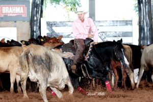 Derby FGA: qualidade de pista e do gado excelente para Apartação