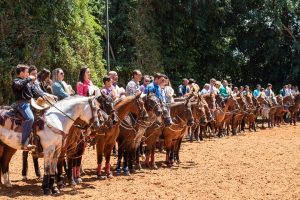 Diretoria de Liga Leste de Team Penning comemora abertura da temporada