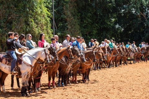 Diretoria de Liga Leste de Team Penning comemora abertura da temporada