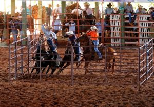 Prova da Estância VV recebeu os principais competidores do brasil