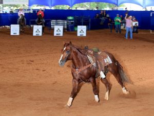 Homenagem a Guilherme Aquino através de Quick O’lena TMR