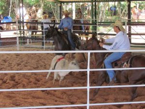 Inauguração da pista da coberta Toca da Onça com etapa RSNC