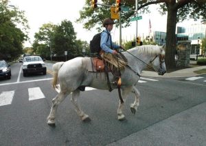 Garoto ia para escola nos Estados Unidos a cavalo