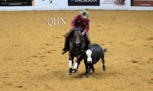 Os melhores cavalos de Working Cow Horse de Corey Cushing