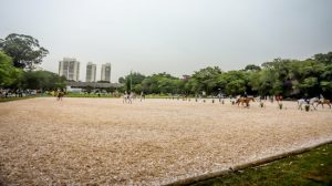 Clube Hípico de Santo Amaro inaugurou nova pista de areia do complexo