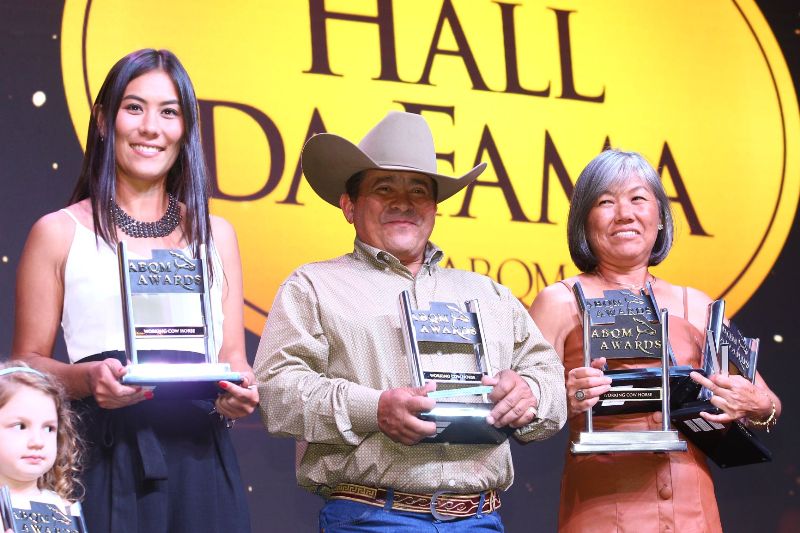 Qual potro do 'Big Projeto' do Rancho Promissão está se destacando nas pistas de Working Cow Horse? 2 Cavalo Vaca Trabalhando