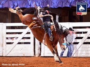 Sterling Crawley entre os destaques do prestigiado Ft Worth Stock Show