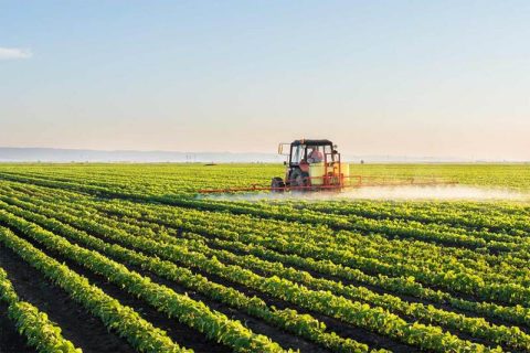 Agro: Seguro rural para agricultores