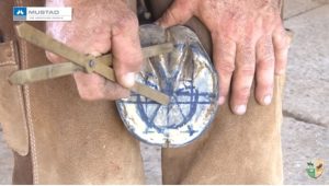 TV UC – O mapeamento do casco