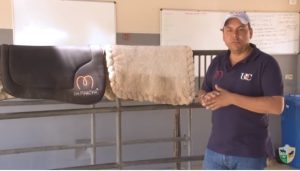 Mantas para cavalgada